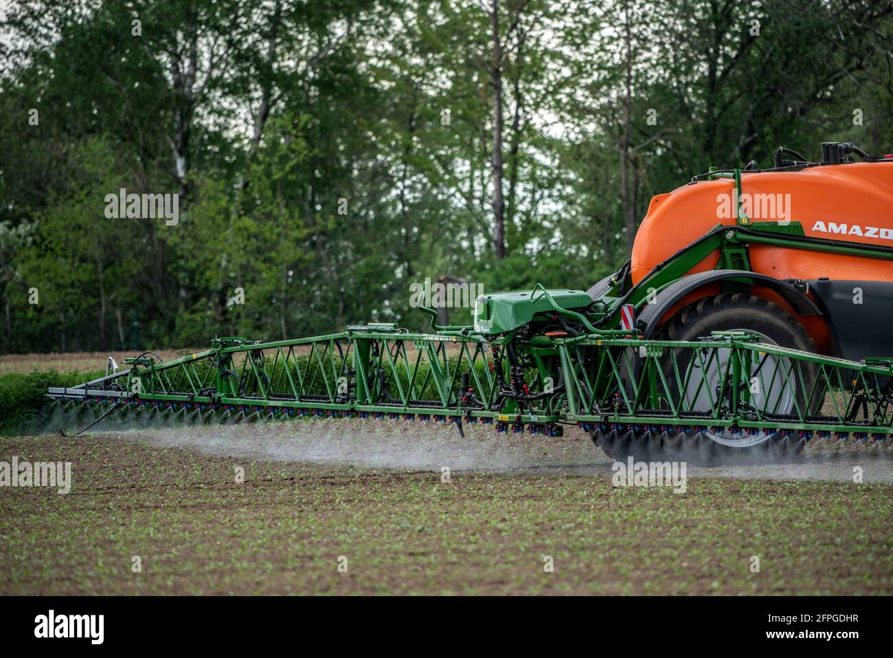 Agriculture, pesticide is sprayed on a field, sugar beet seedlings, NRW, Germany Stock Photo