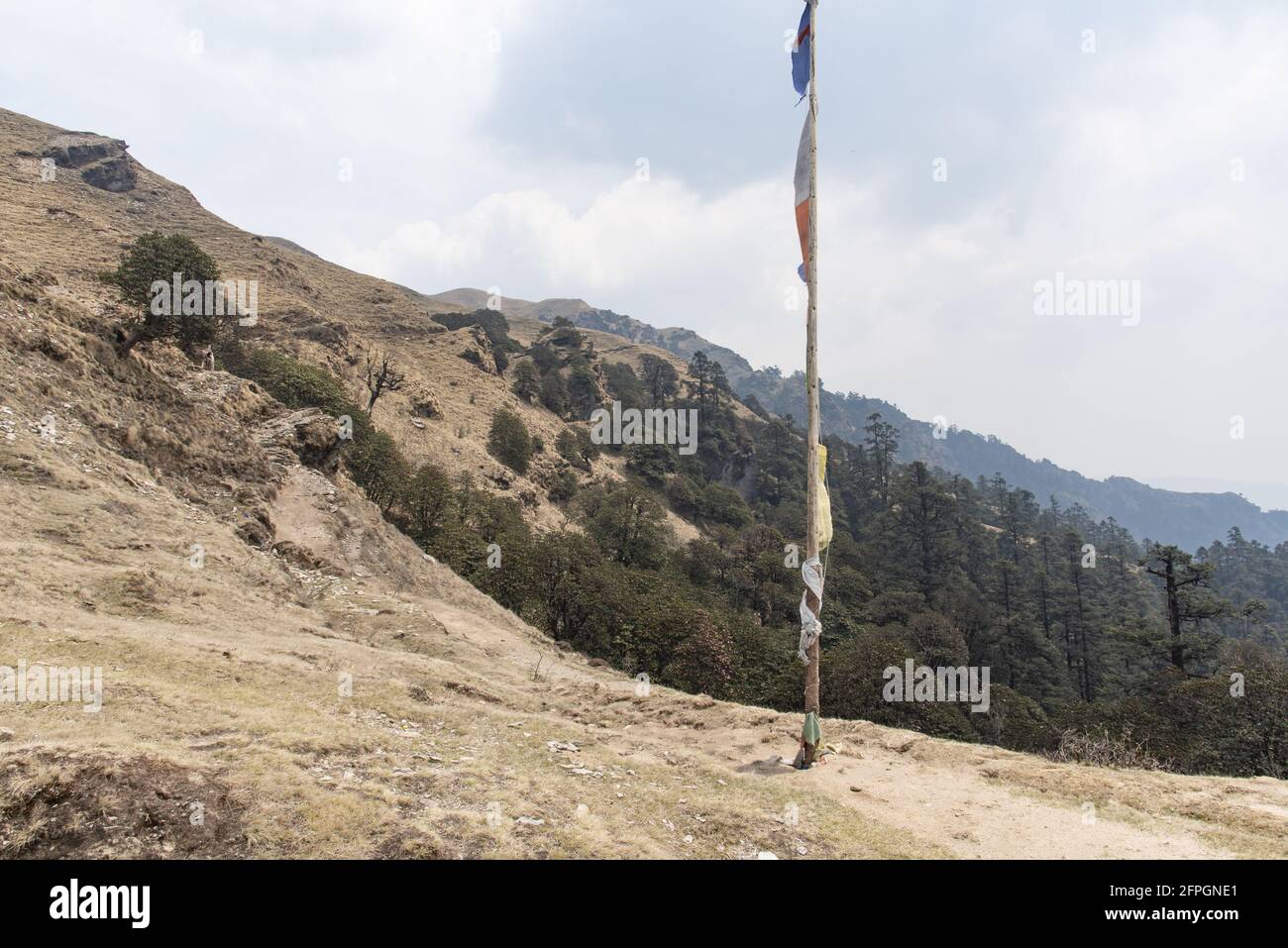 Flagpole in the middle of a chaparral Stock Photo