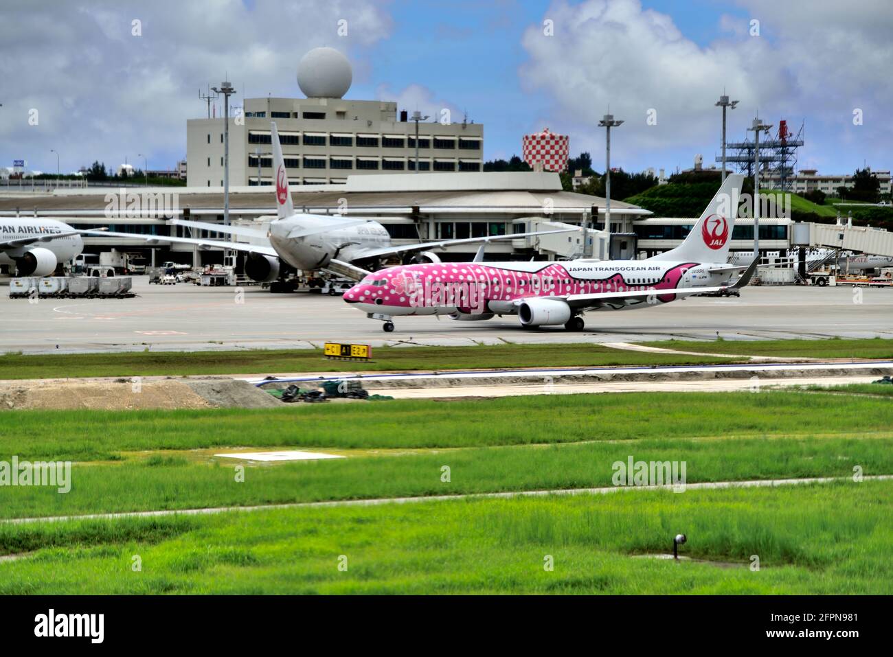 Pink Whale Shark, Japan Transocean, JTA Boeing B-737/800, JA06RK, Taxi, After Landing, Naha Airport, Naha, Okinawa, Ryukyu Islands, Japan Stock Photo