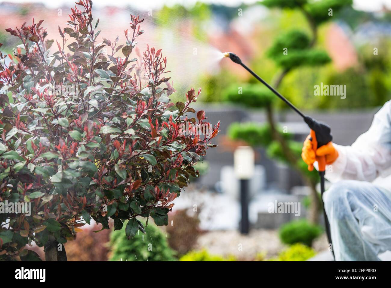 Garden Plants Fungicide and Insecticide During Spring Maintenance ...