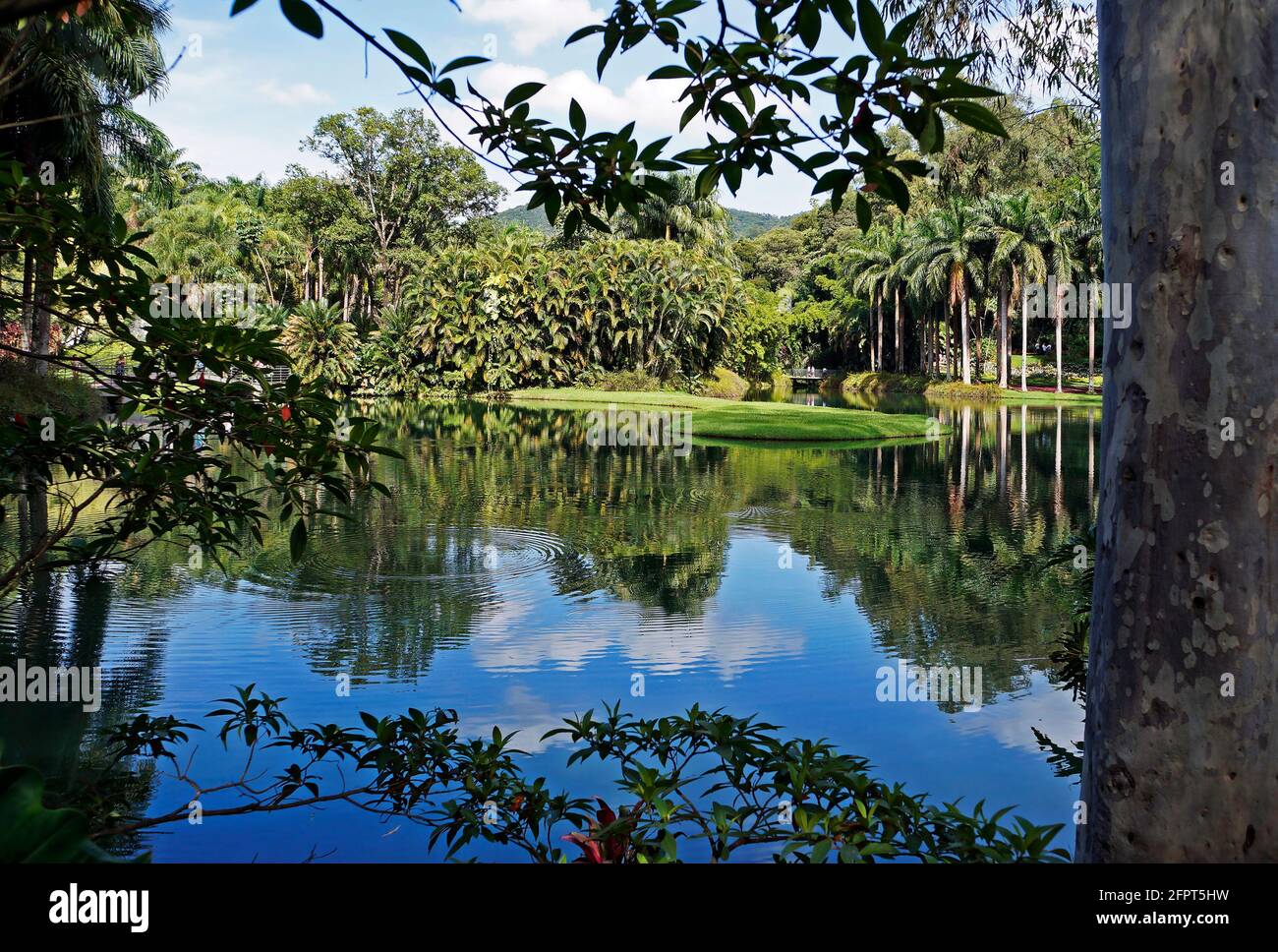 Tropical scenic hi-res stock photography and images - Alamy