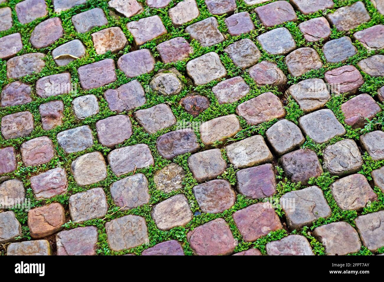 mossy cobblestone texture
