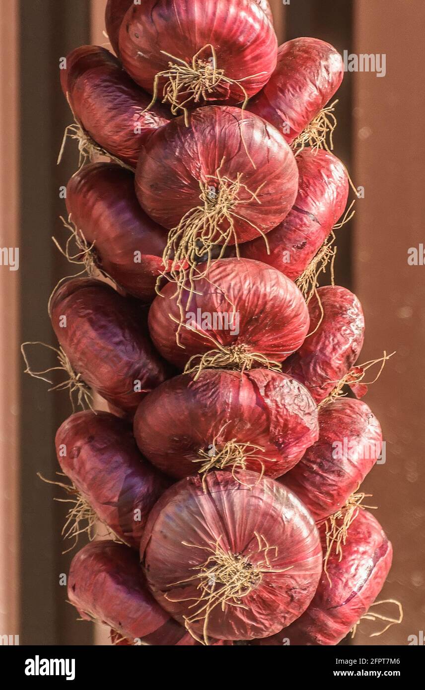 Sale of red salad onions in bundles Stock Photo - Alamy