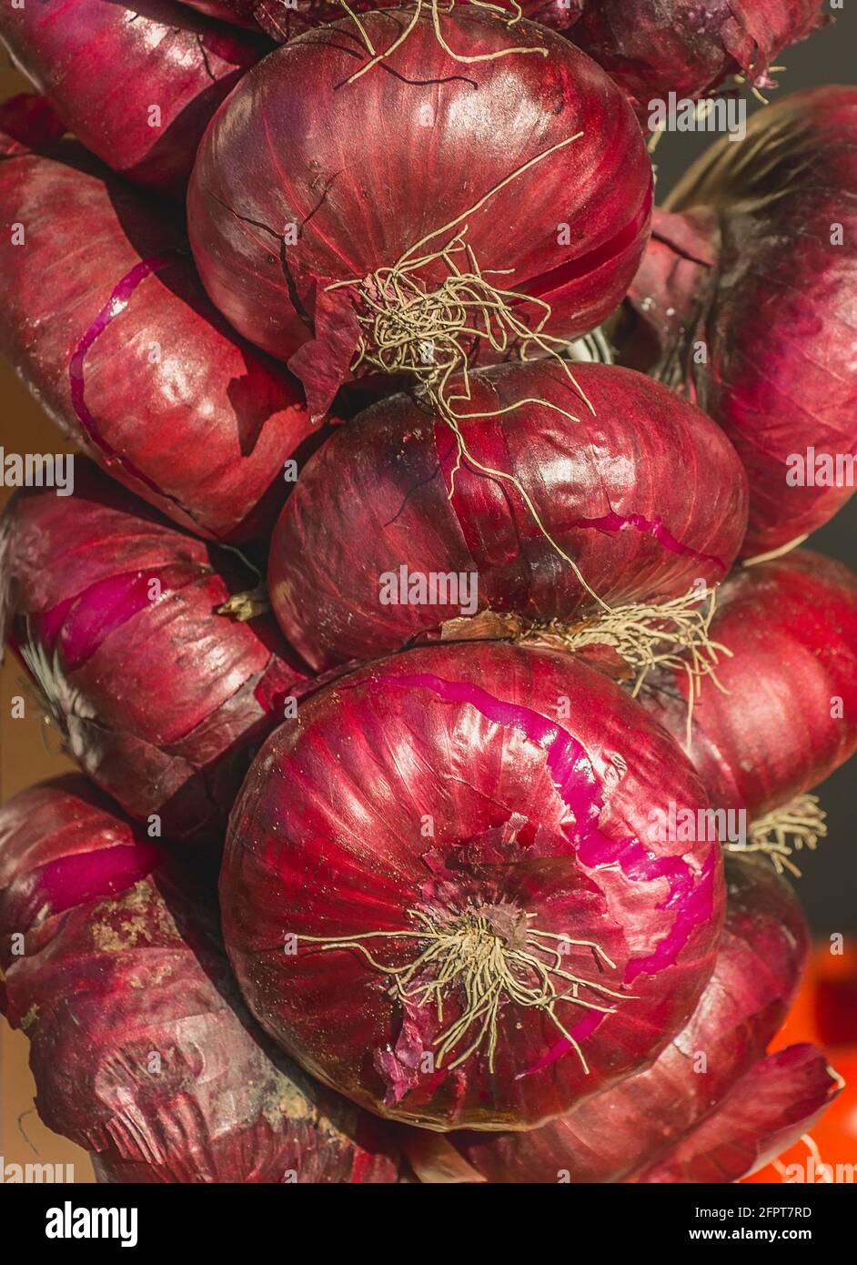 Sale of red salad onions in bundles Stock Photo - Alamy