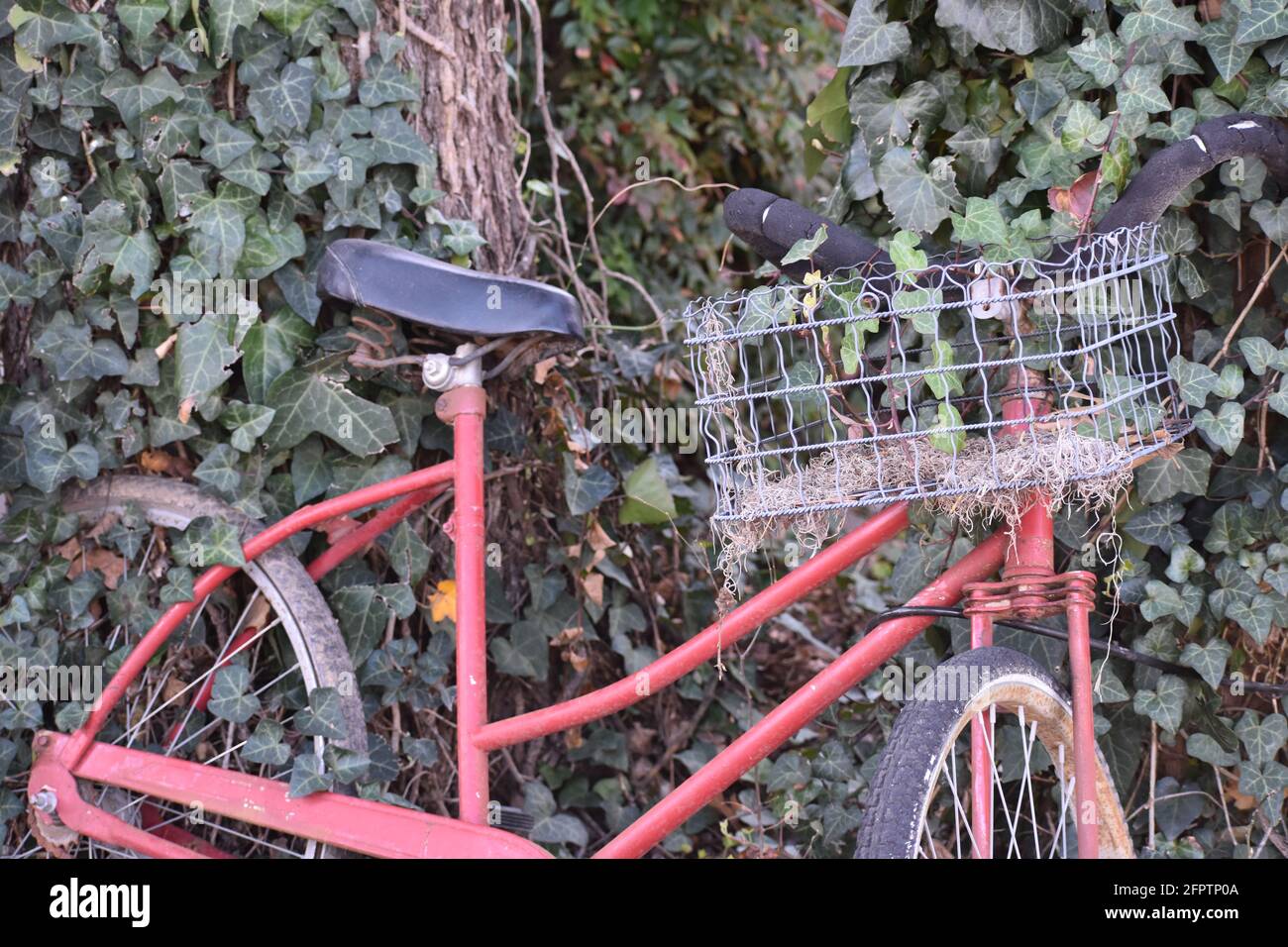 Red girls bike with basket Stock Photo