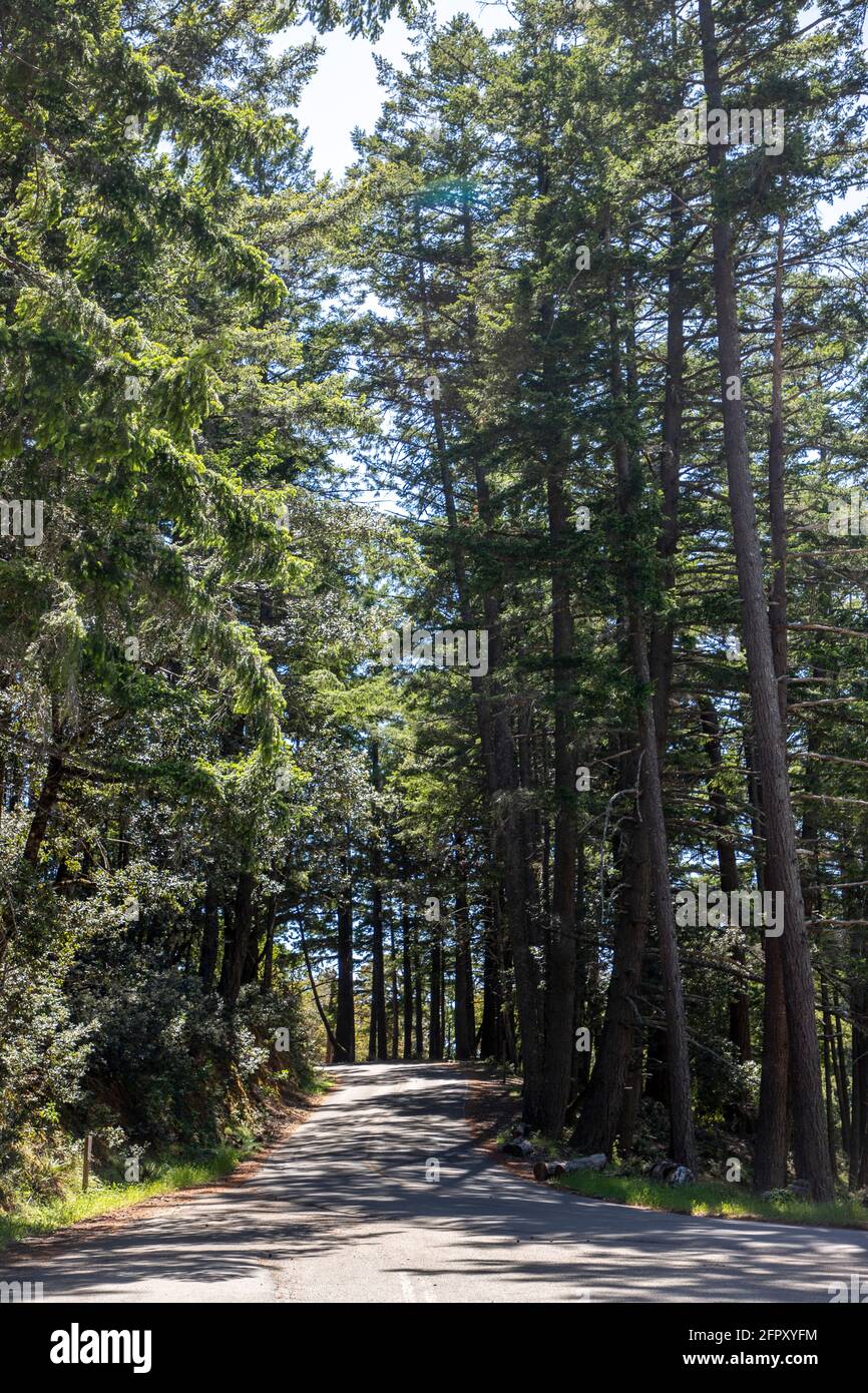 Mount Tamalpais rises along the coast of Marin County, Northern California, offering scenic landscapes, forested hills, and sweeping Pacific Ocean - Stock Photo