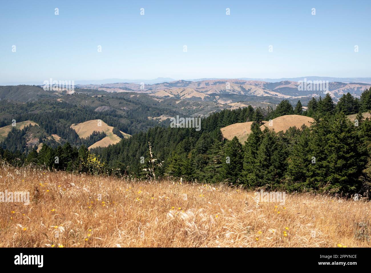 Mount Tamalpais rises along the coast of Marin County, Northern California, offering scenic landscapes, forested hills, and sweeping Pacific Ocean - Stock Photo