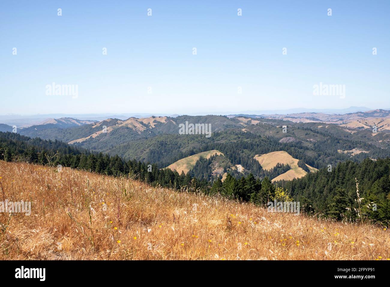 Mount Tamalpais rises along the coast of Marin County, Northern California, offering scenic landscapes, forested hills, and sweeping Pacific Ocean - Stock Photo