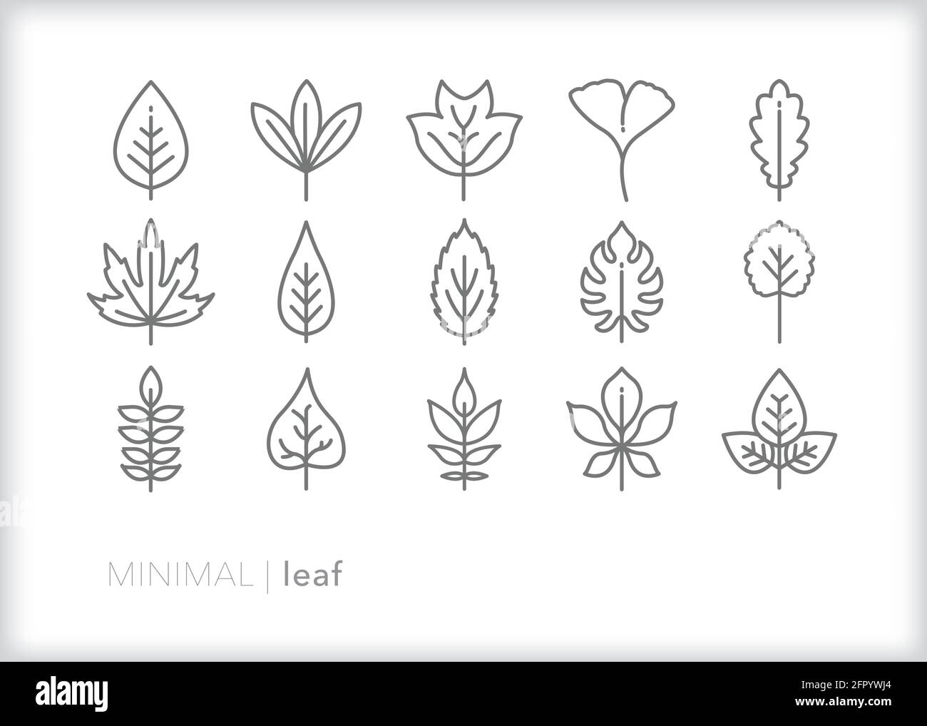 Set of leaf outline icons from different types of trees Stock Vector