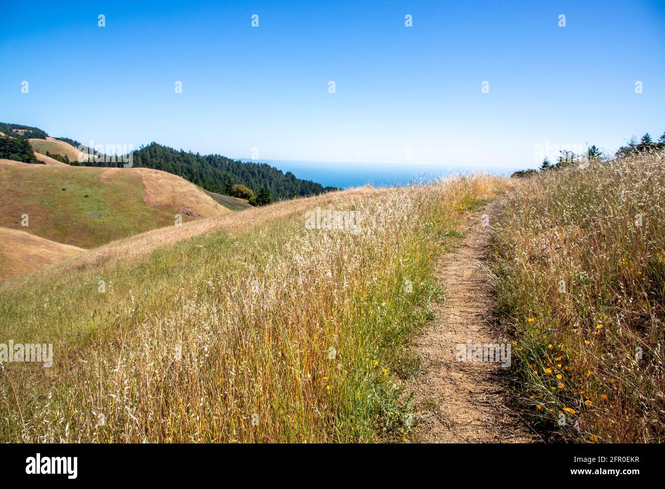 Mount Tamalpais rises along the coast of Marin County, Northern California, offering scenic landscapes, forested hills, and sweeping Pacific Ocean - Stock Photo