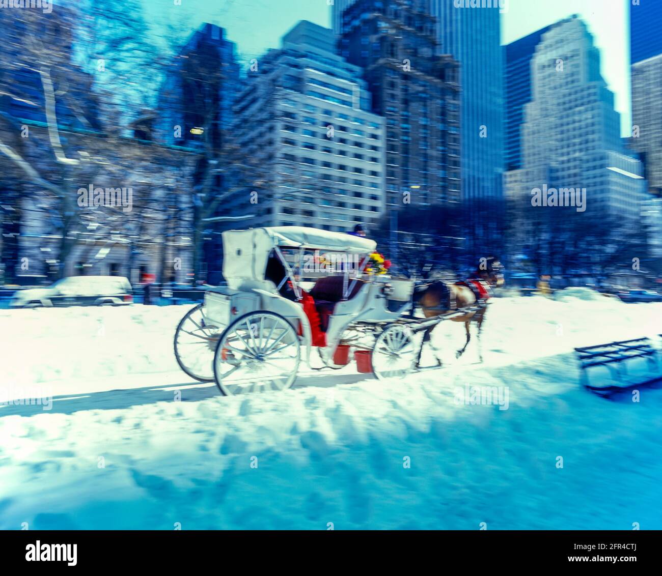 Central park carriage ride winter hi-res stock photography and images ...