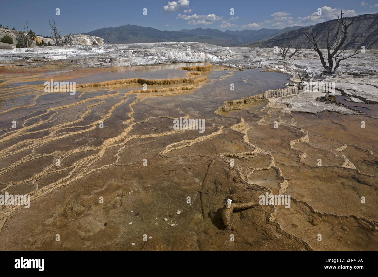 Mammoth Terraces filled with water in the Yellowstone National Park, Wyoming, USA. Vast travertine plateau. Stock Photo