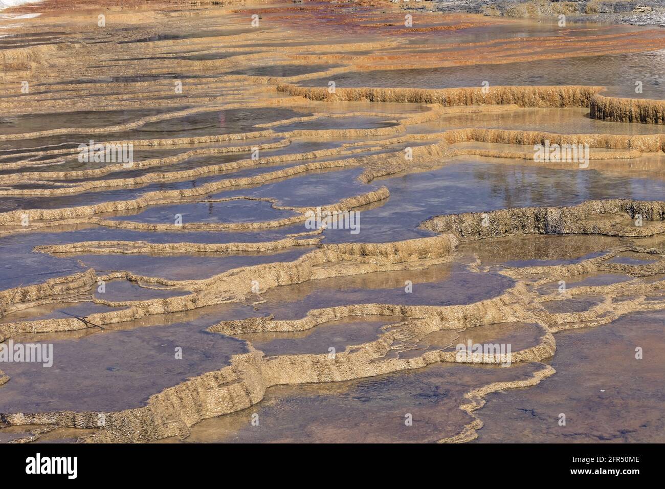 Close-up of Mammoth Terraces filled with water in the Yellowstone National Park, Wyoming, USA. Stock Photo