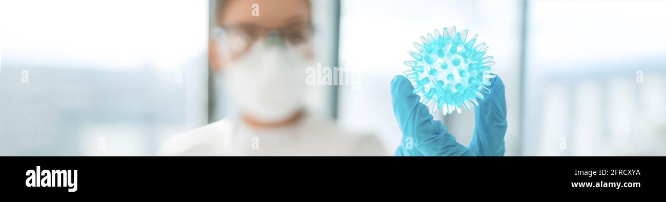 Coronavirus vaccine research lab woman researching looking at model of corona virus panoramic banner. In search of a cure research doctor holding blue Stock Photo