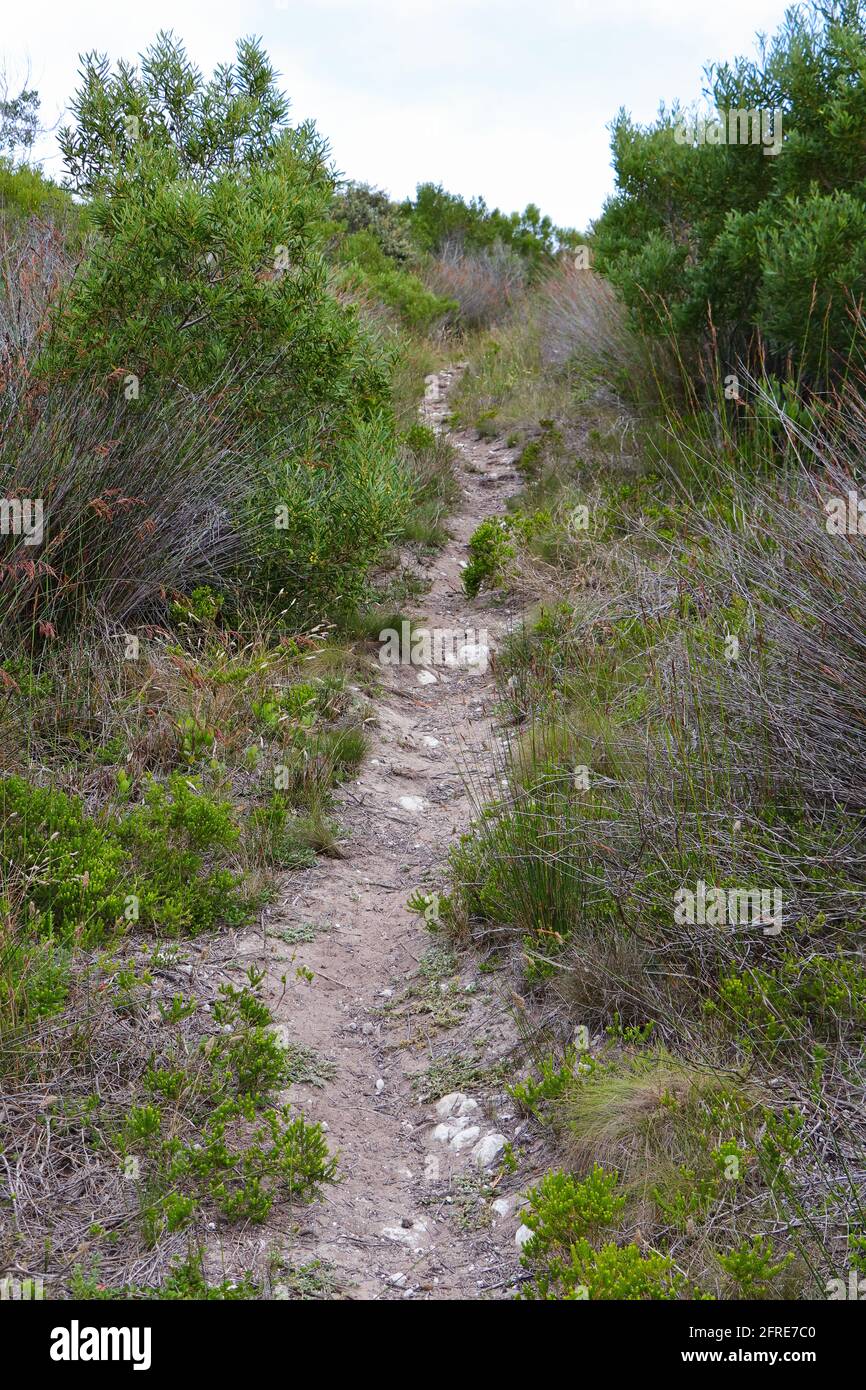 Gravel biking path hi-res stock photography and images - Alamy
