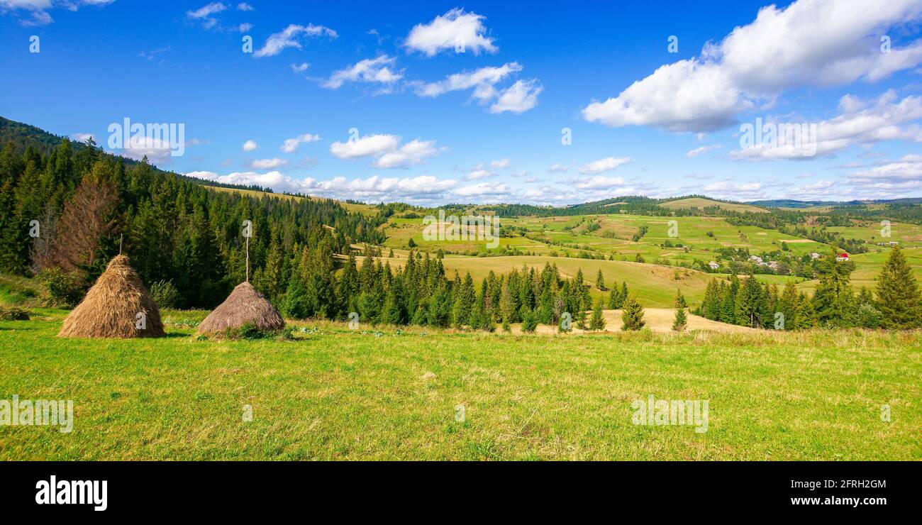 rural landscape with haystacks on the hill. fields and meadows in mountains. wonderful carpathian countryside scenery on a bright september day. cloud Stock Photo