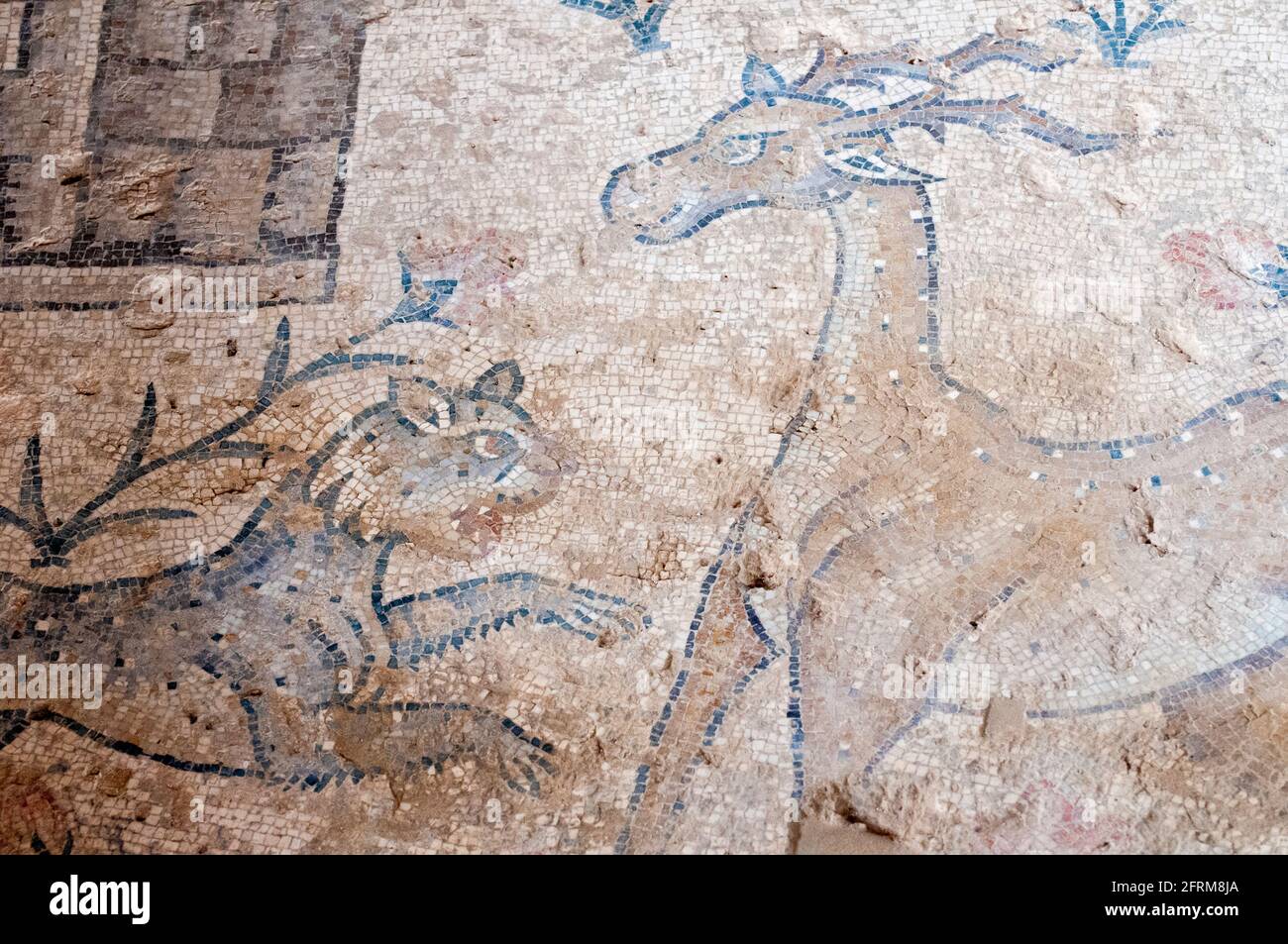 hunting scene from ' Beyond the Nile ' Mosaic (detail) in the Nile House at Zippori National Park The city of Zippori (Sepphoris) A Roman Byzantine pe Stock Photo