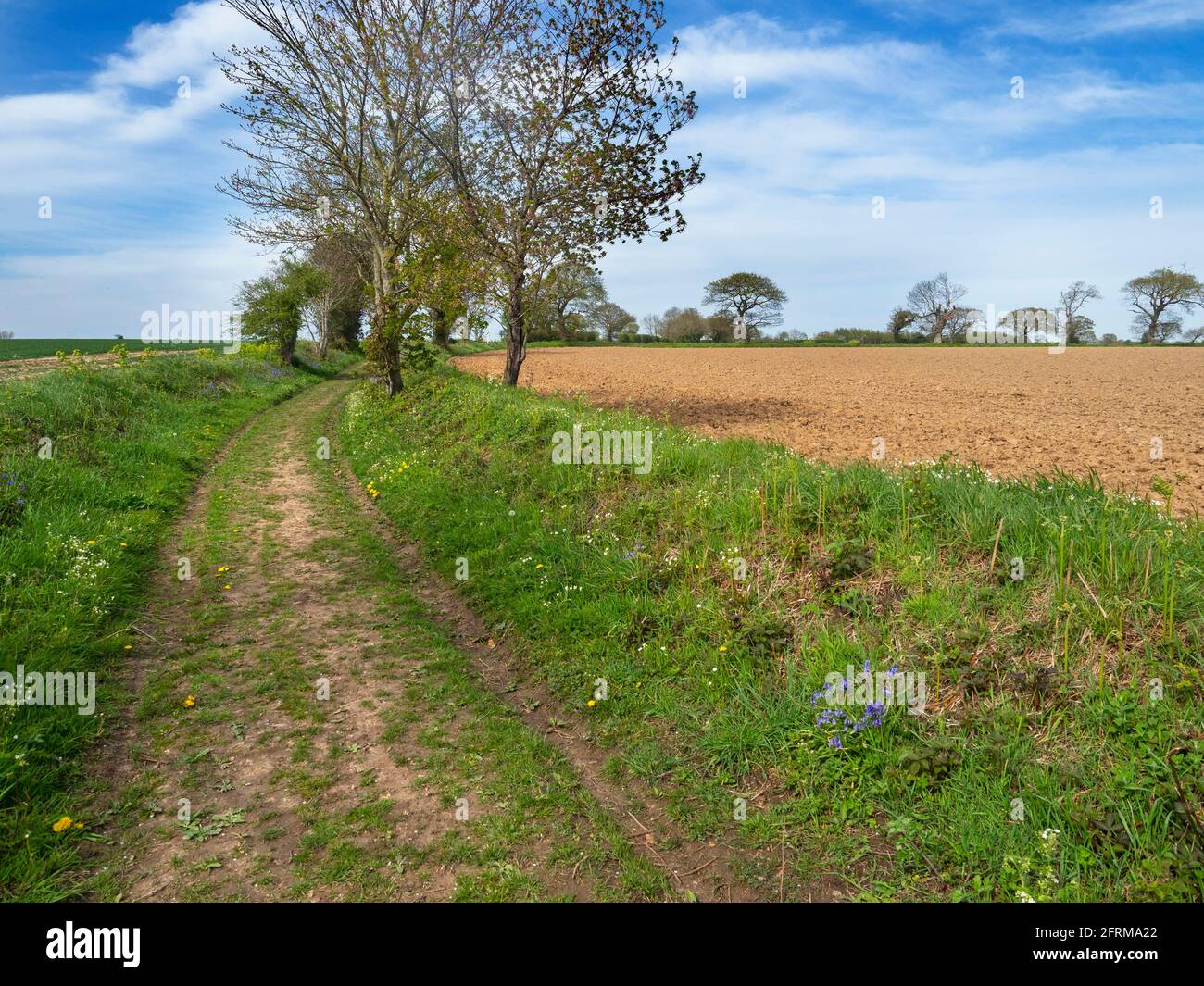 Seasonal changes from winter to spring on  farm track at Gimingham near the Norfolk  coast. Stock Photo