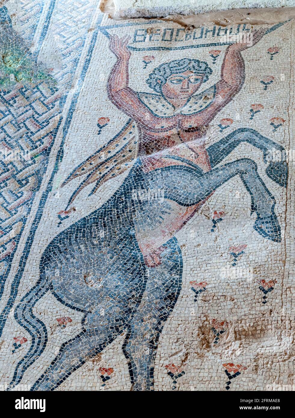The Centaur mosaic from ' Beyond the Nile ' Mosaic (detail) in the Nile House at Zippori National Park The city of Zippori (Sepphoris) A Roman Byzanti Stock Photo
