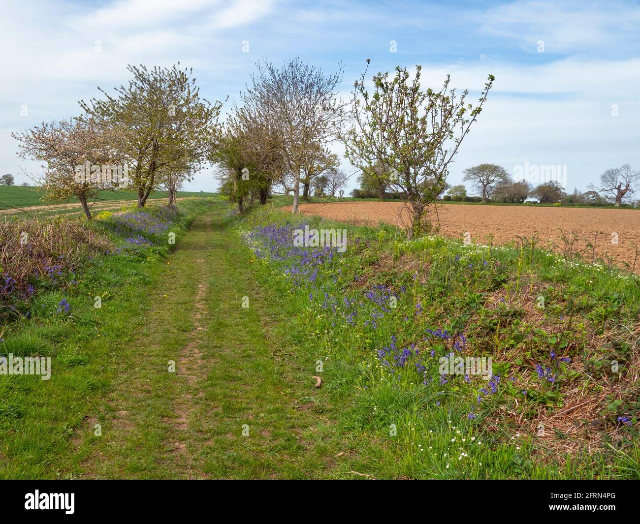 Seasonal changes from winter to spring on  farm track at Gimingham near the Norfolk  coast. Stock Photo