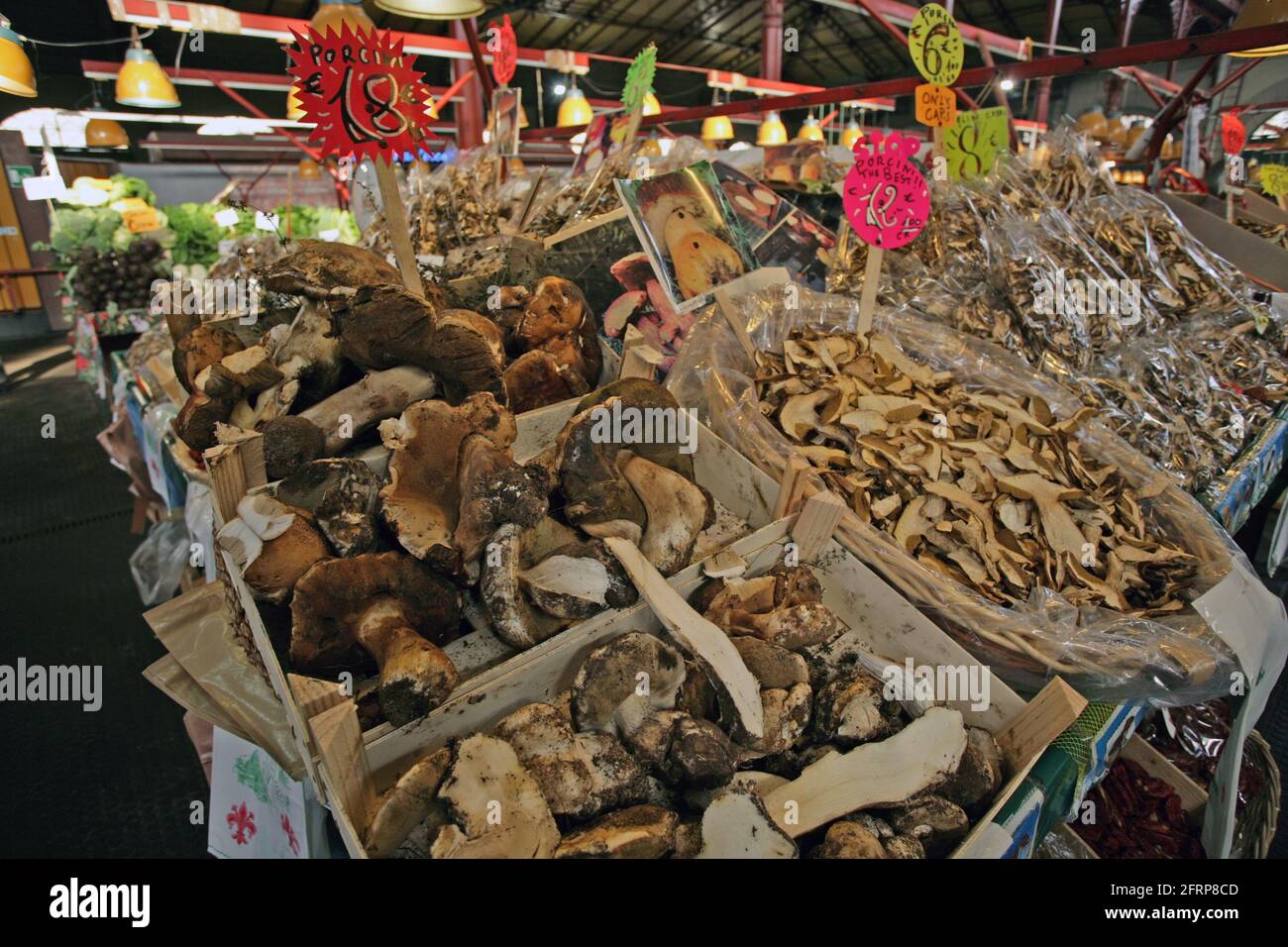 Porcini mushrooms, Mushroom stall, Mercato Centrale, central market hall, centro storico, Florence, Italy Stock Photo