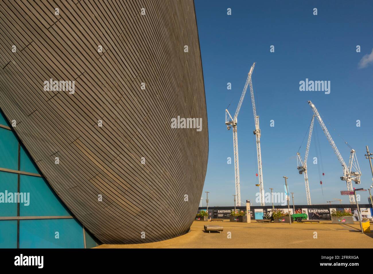 Roof line of the London Aquatics centre, Stratford. Designed by Zaha Hadid. With cranes on building site adjacent. Stock Photo