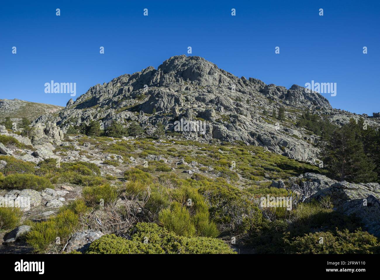 Highmountain scrublands in Guadarrama Mountains National Park