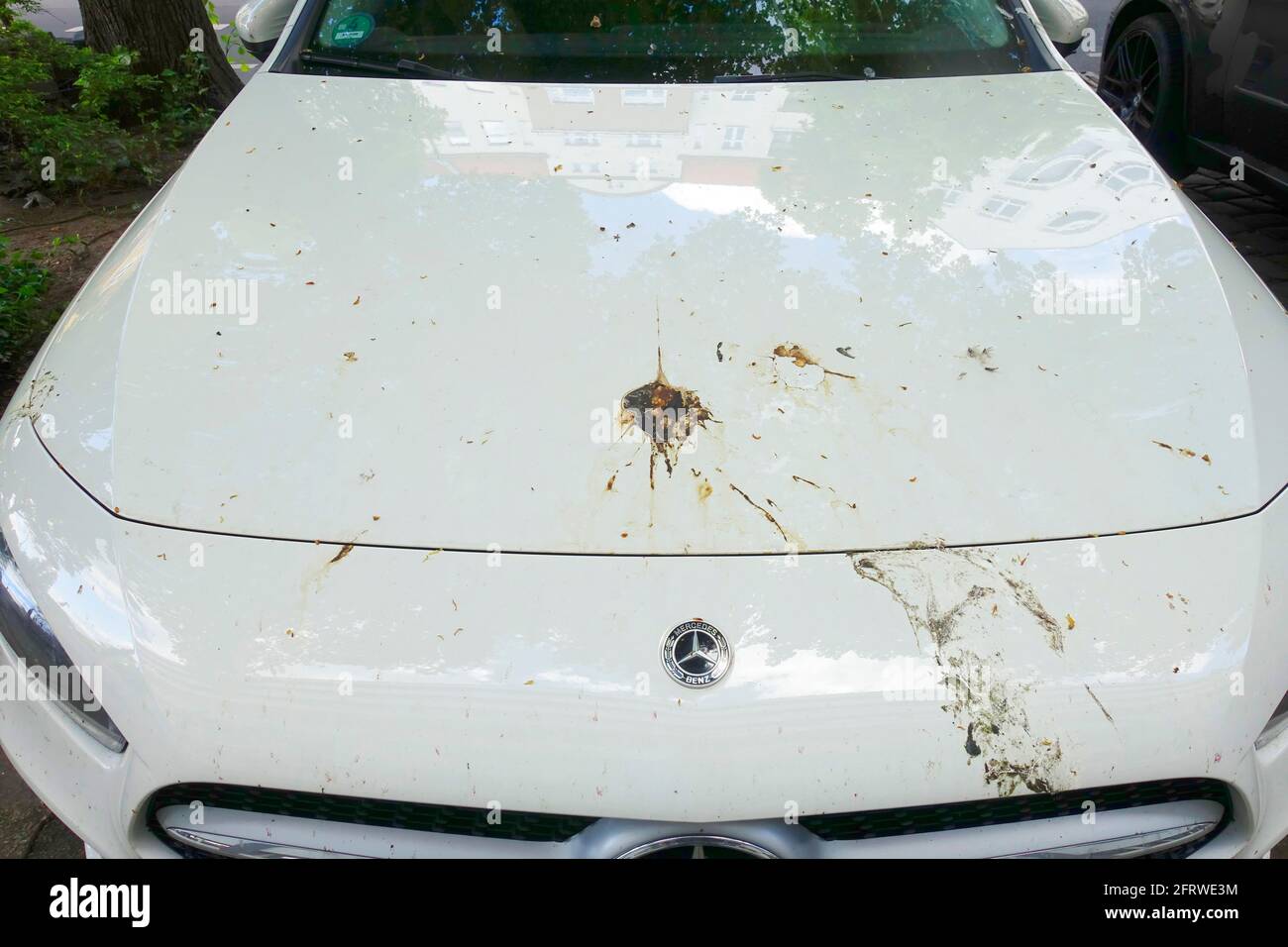 Bird droppings on a car, Berlin Stock Photo Alamy