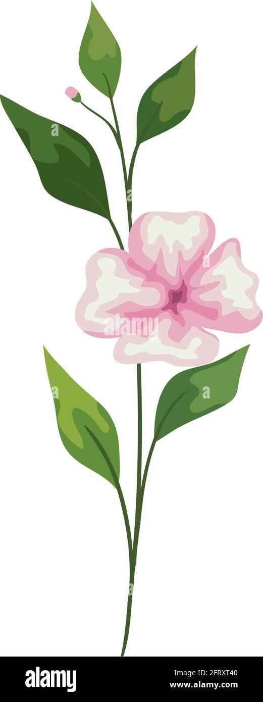 pink flower with leaves Stock Vector Image & Art - Alamy