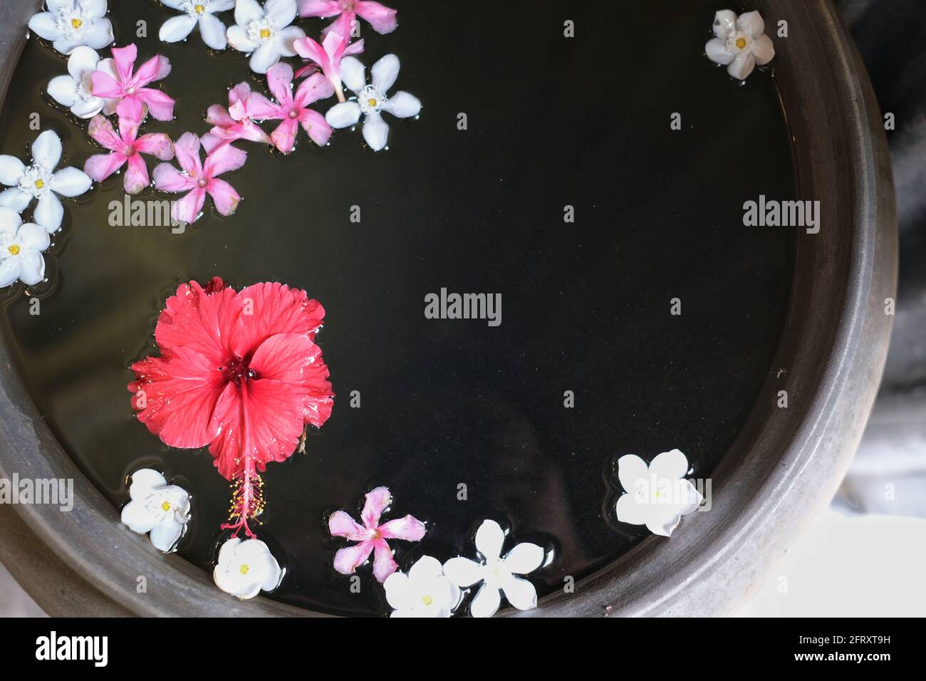 A large clay pot full of fresh water and colorful falling flower petals. Stock Photo