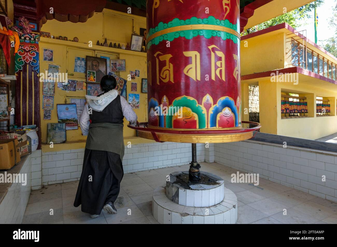 McLeod Ganj, India - May 2021: Tibetan woman spinning a prayer wheel at the Tsuglagkhang Complex on May 21, 2021 in Dharamshala, Himachal Pradesh. Stock Photo