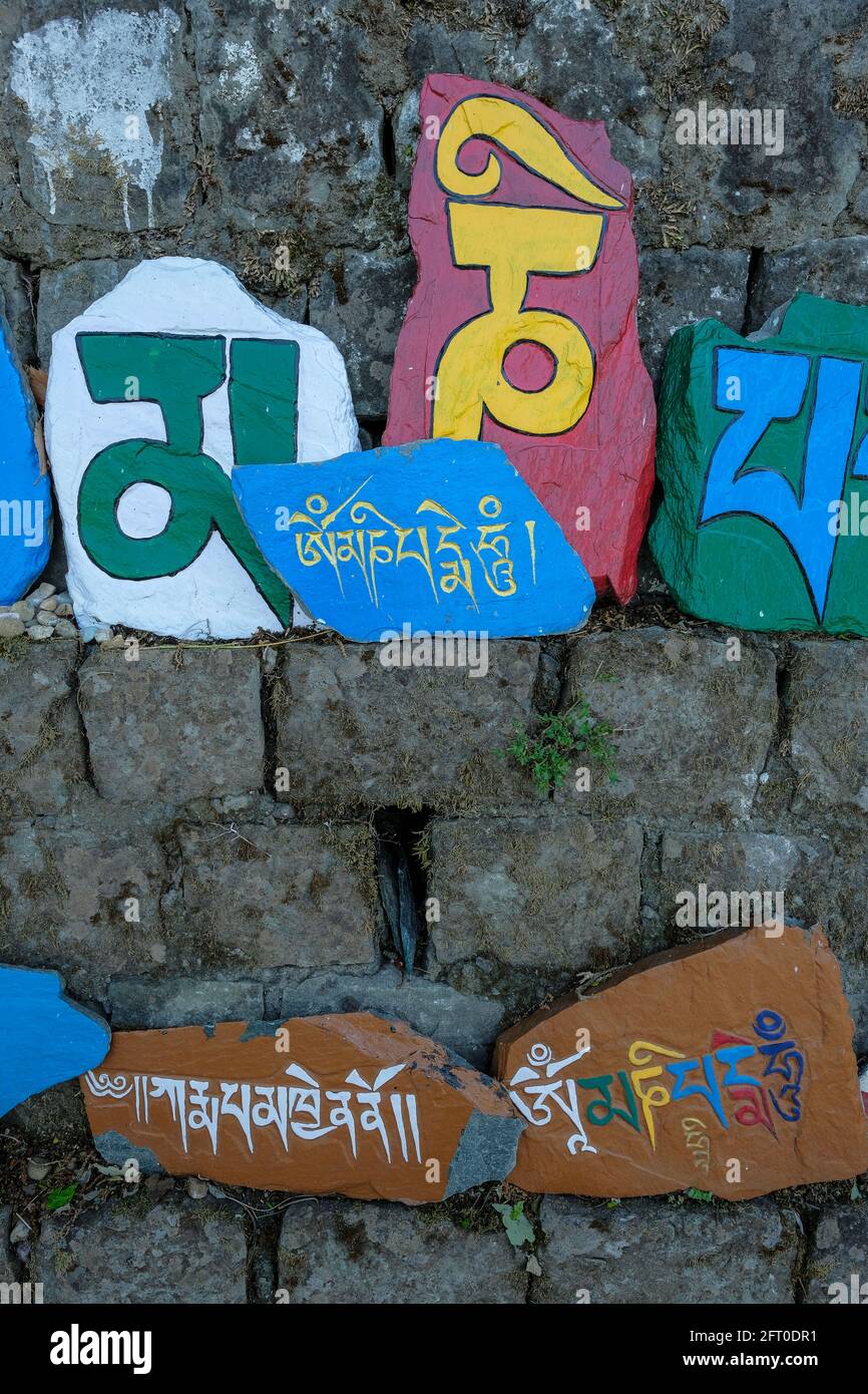 McLeod Ganj, India - May 2021: Prayer stones located around the Tsuglagkhang Complex on May 21, 2021 in Dharamshala, Himachal Pradesh, India. Stock Photo