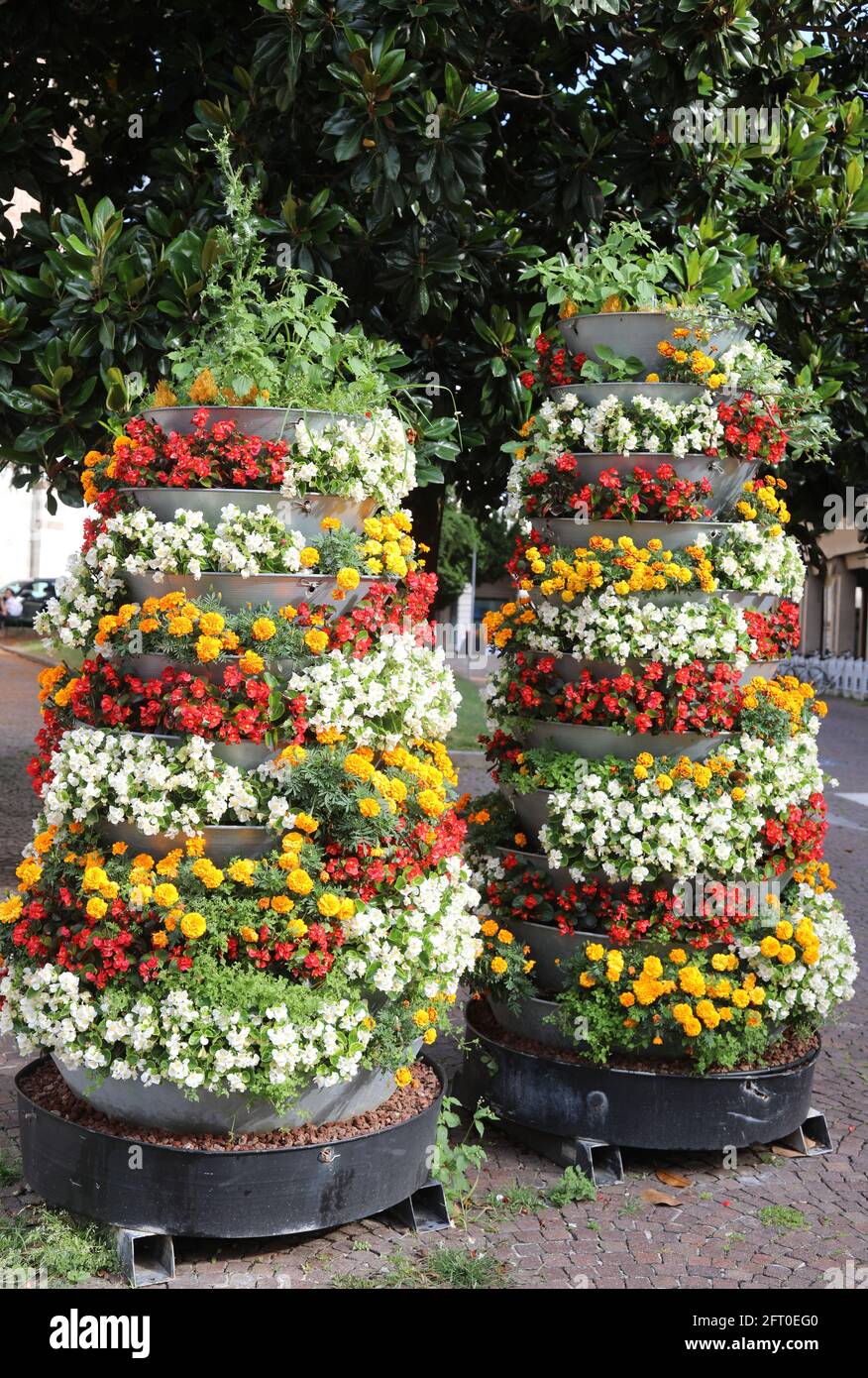 large decorative flower beds of urban furniture with begonia flowers and chrysanthemums To embellish the city Stock Photo