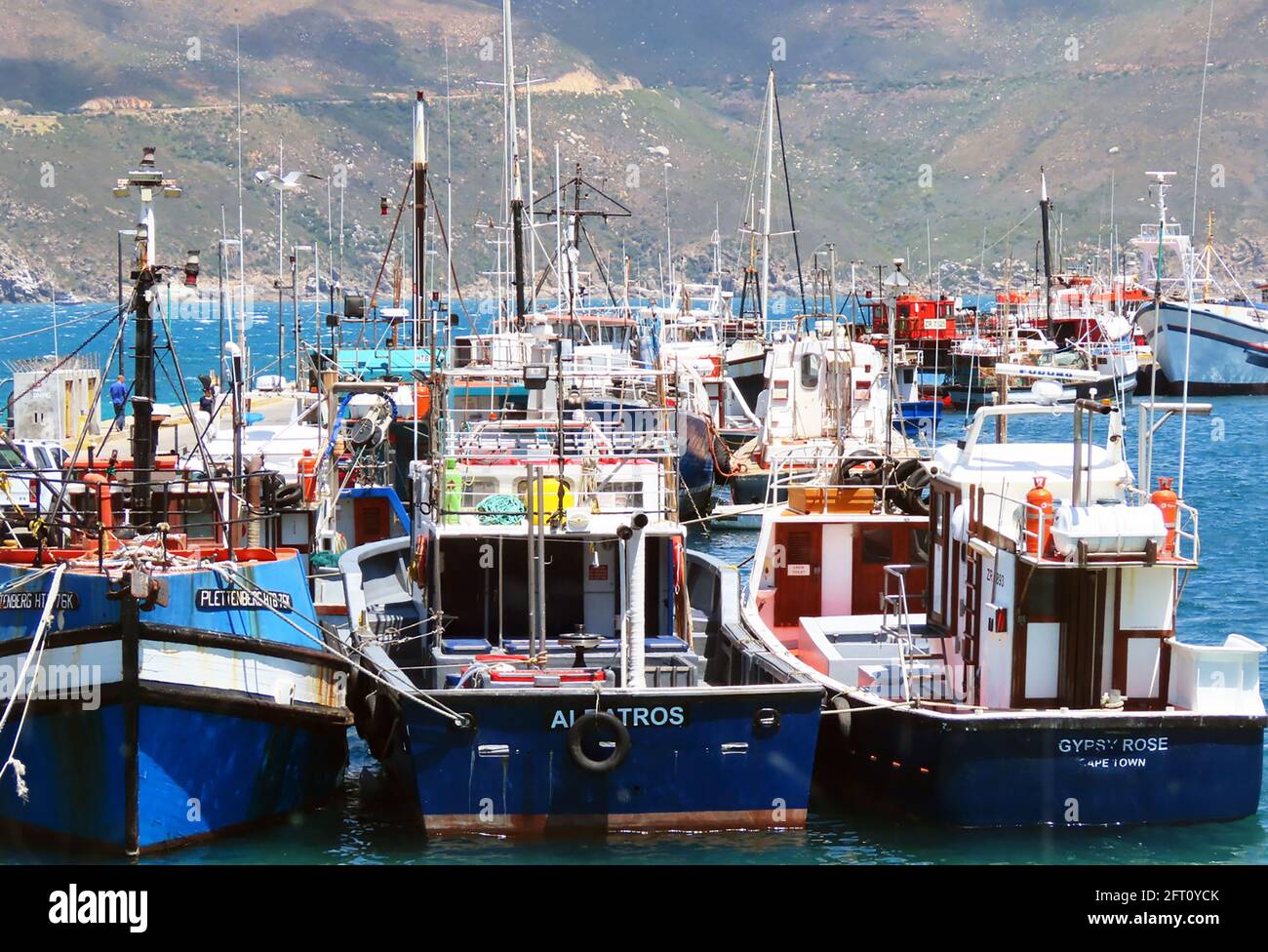 Western cape africa seafood hires stock photography and images Alamy