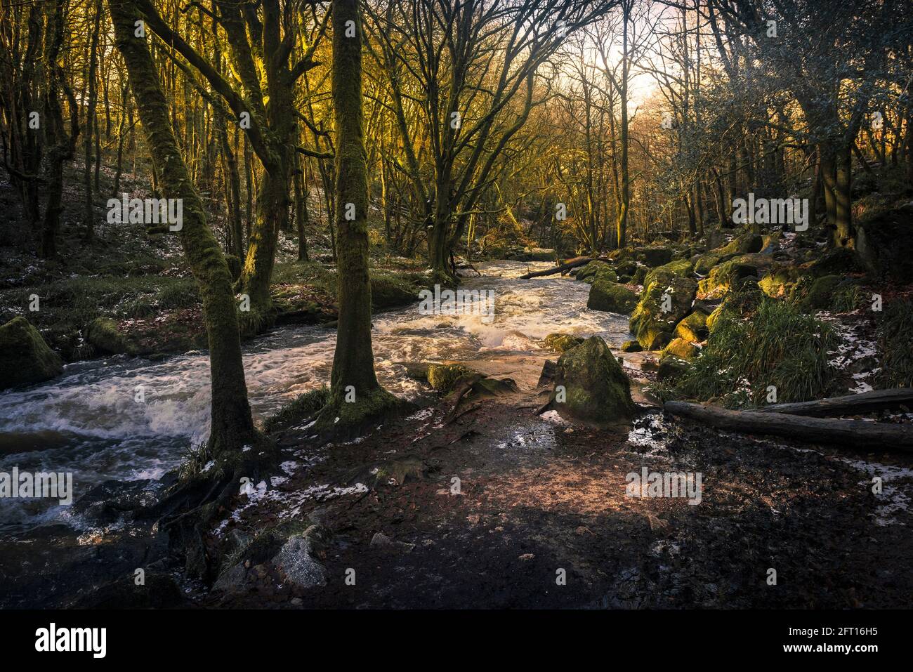 Late afternoon sunlight as the River Fowey flows along Golitha Falls in the historic and ancient woodland Draynes Wood in Cornwall. Stock Photo