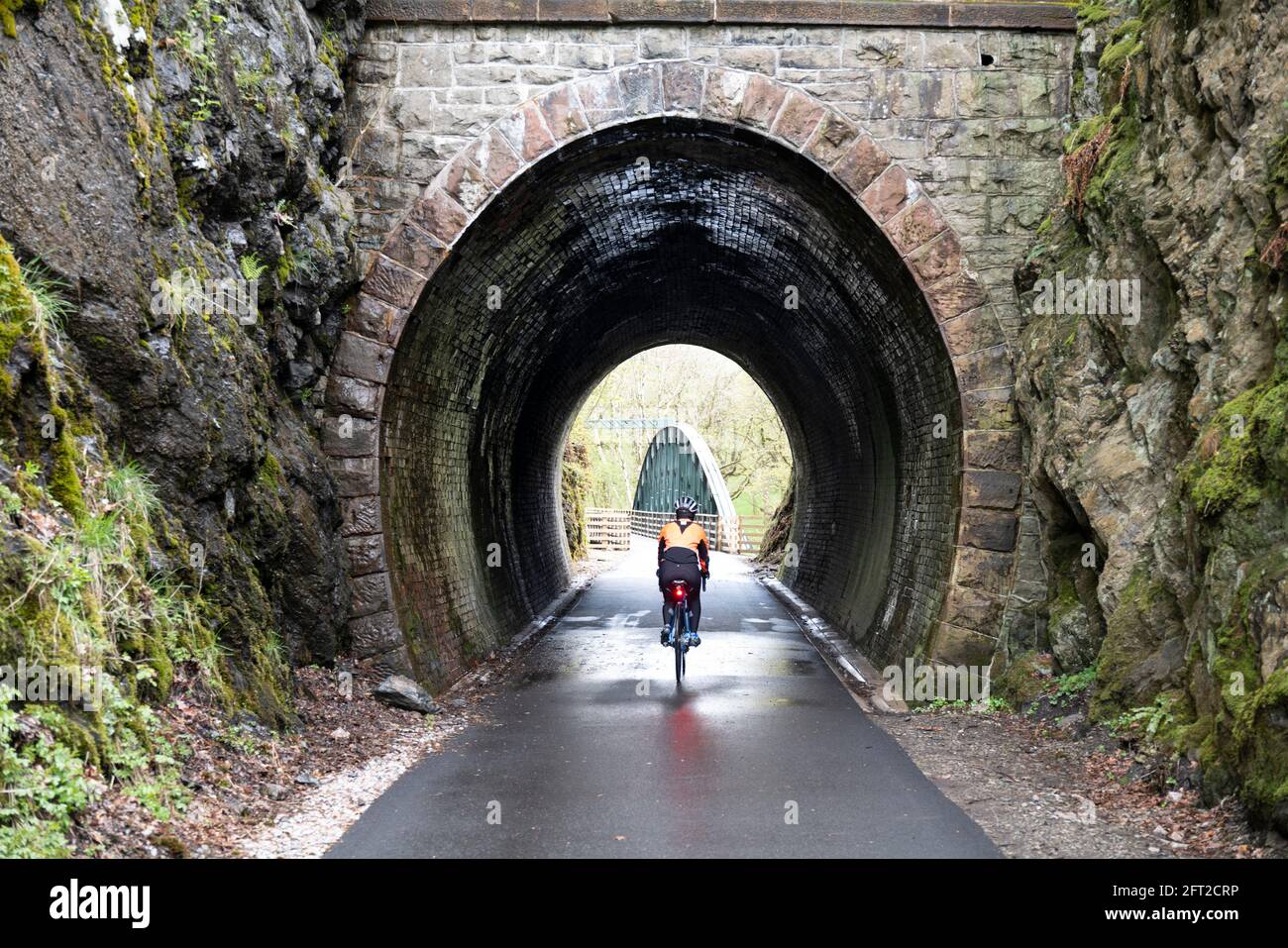 Female cyclist riding the Keswick to Threlkeld Cycle rail trail, Lake District, Cumbria, UK. Stock Photo