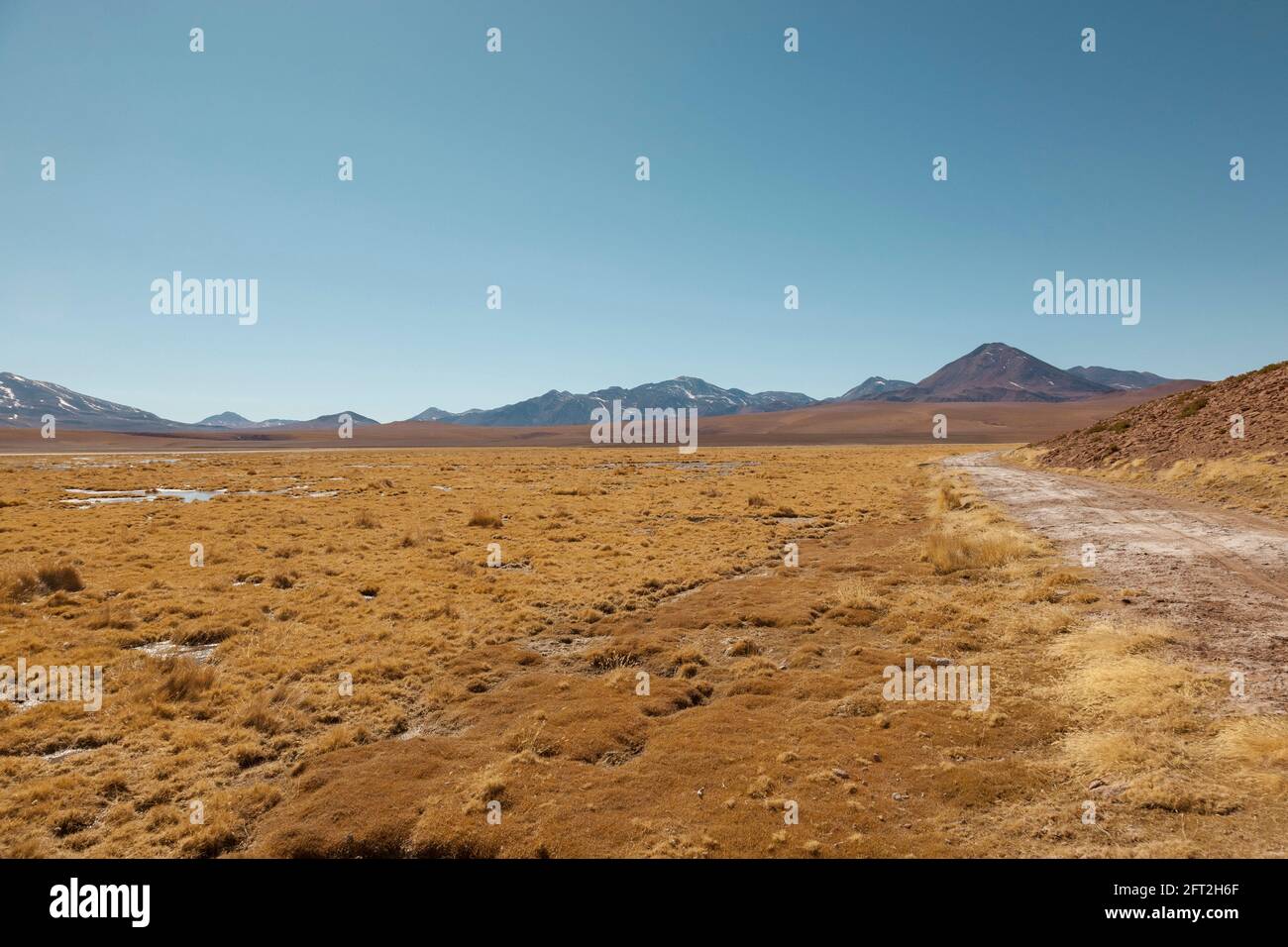 The stunning Salar de Tara salt marsh, Atacama Desert altiplano, Chile Stock Photo