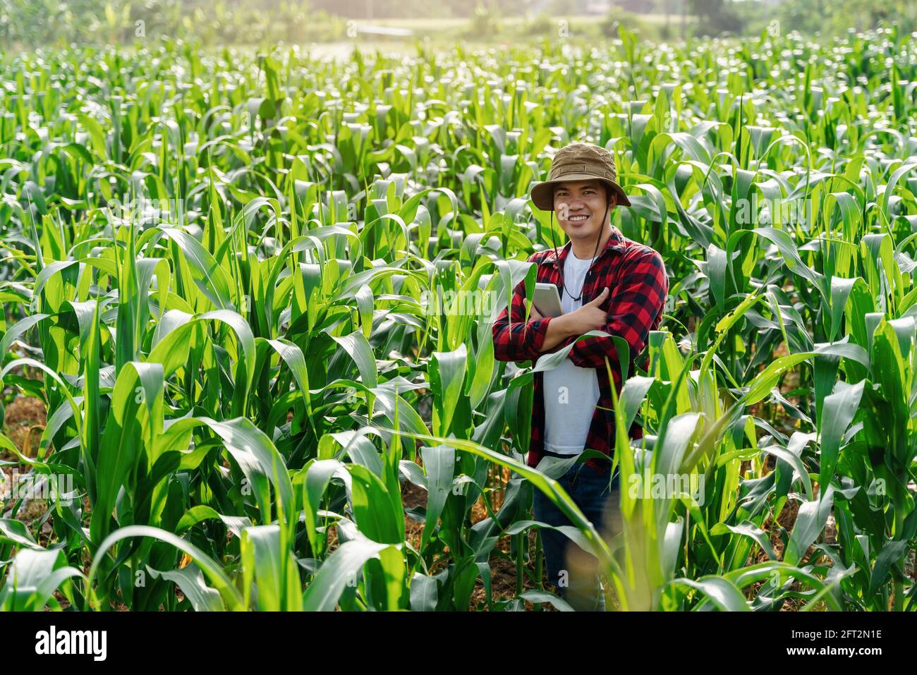 happy asian farmer or agronomist holding tablet in Corn field in summer Stock Photo