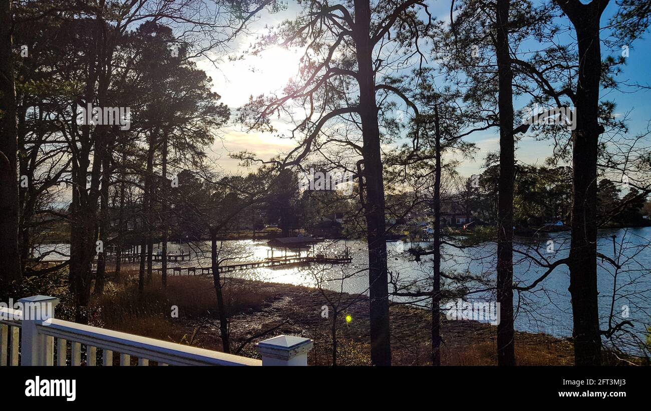 House seen surrounded trees hi-res stock photography and images - Alamy