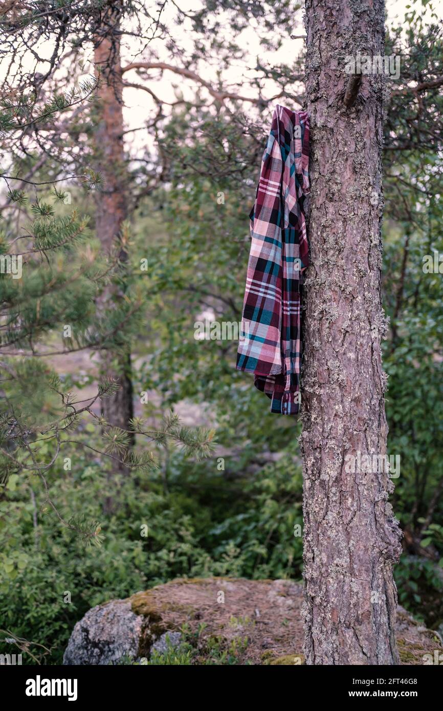 Shirt hanging tree hi res stock photography and images Alamy