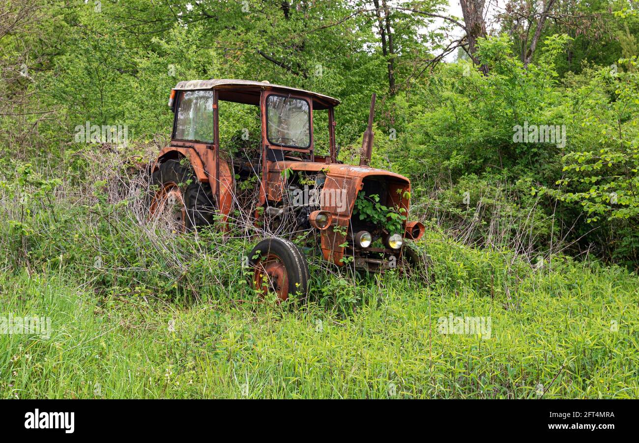 Old rusty vintage abandoned tractor in a field overgrown with tall grass. Stock Photo