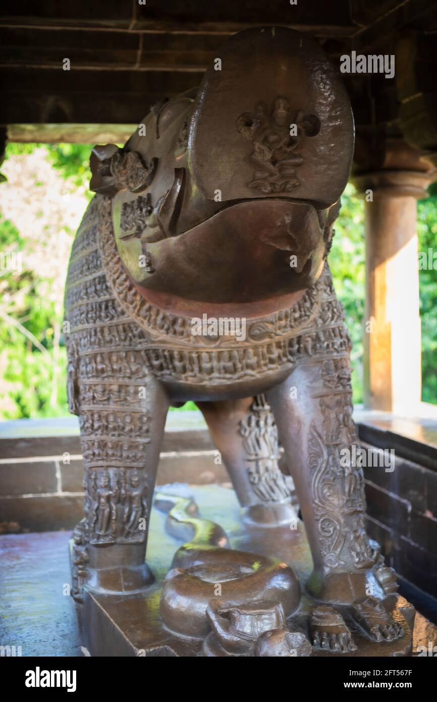 Wild Boar, sculpture, Khajuraho, Madhya Pradesh, India Stock Photo