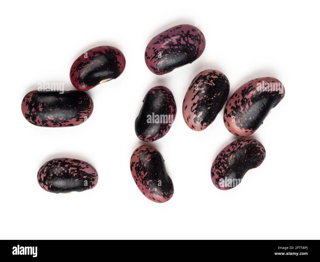 Mottled seeds of the climbing runner bean, Phaseolus coccineus 'Scarlet Emperor', isolated on a white background Stock Photo