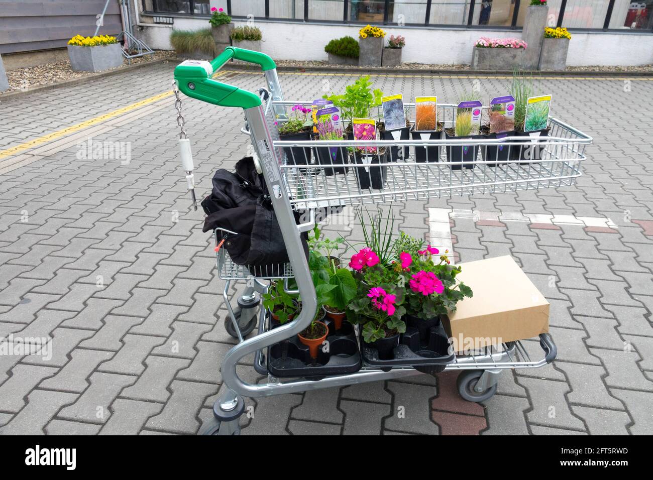 Shopping cart Garden centre plants Stock Photo Alamy