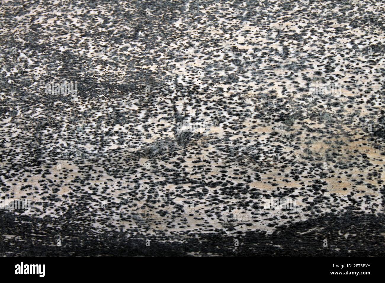 Closeup shot stone construction hi-res stock photography and images - Alamy