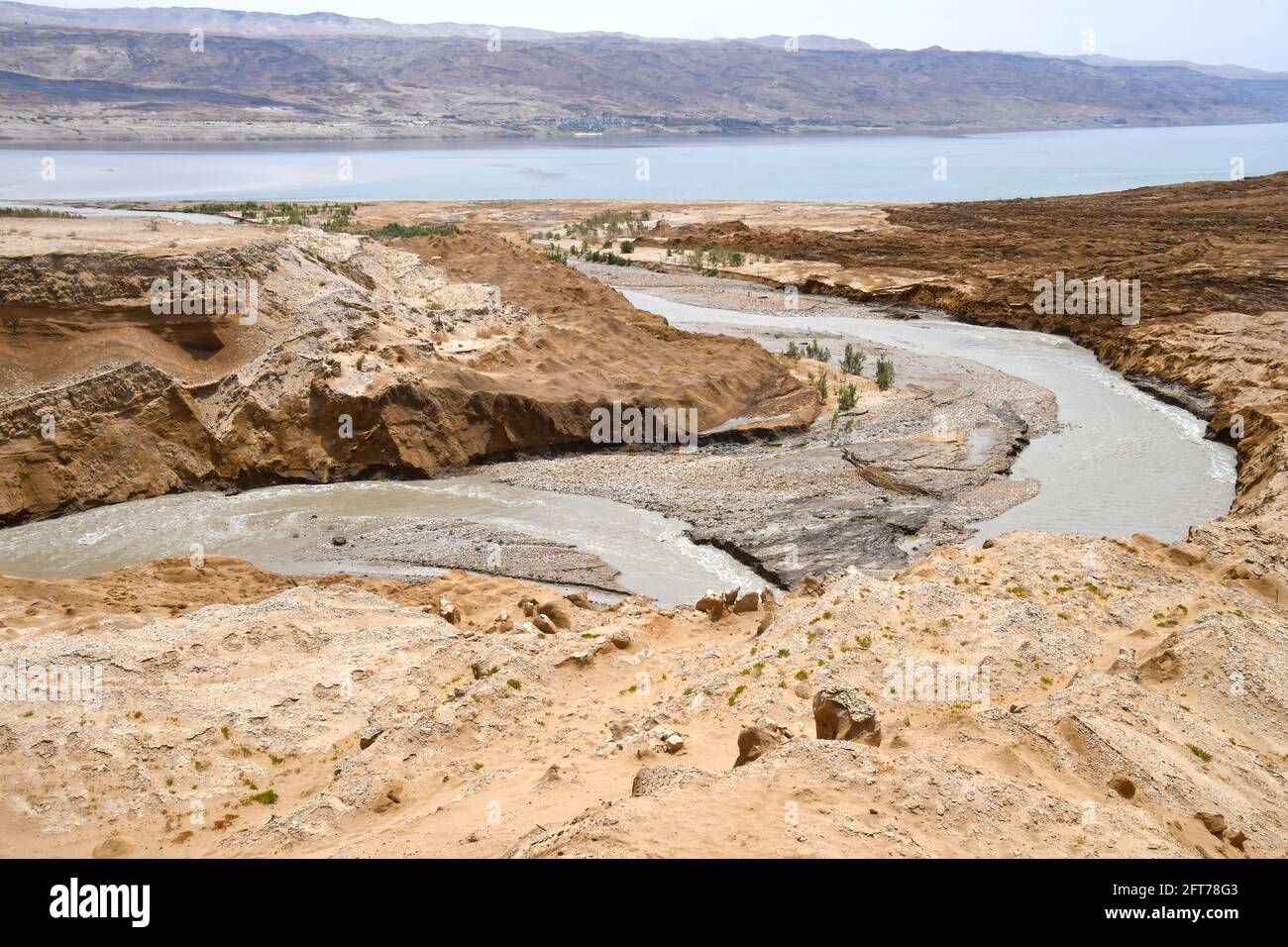 Jordan river delta, Dead sea, Israel Stock Photo - Alamy