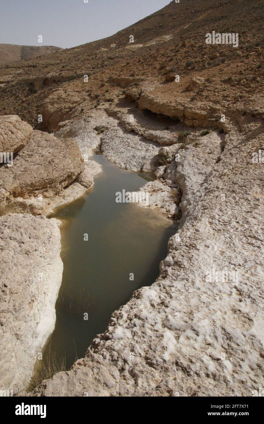 Water pool or rain pool in a hole in a dry riverbed rock in the Negev