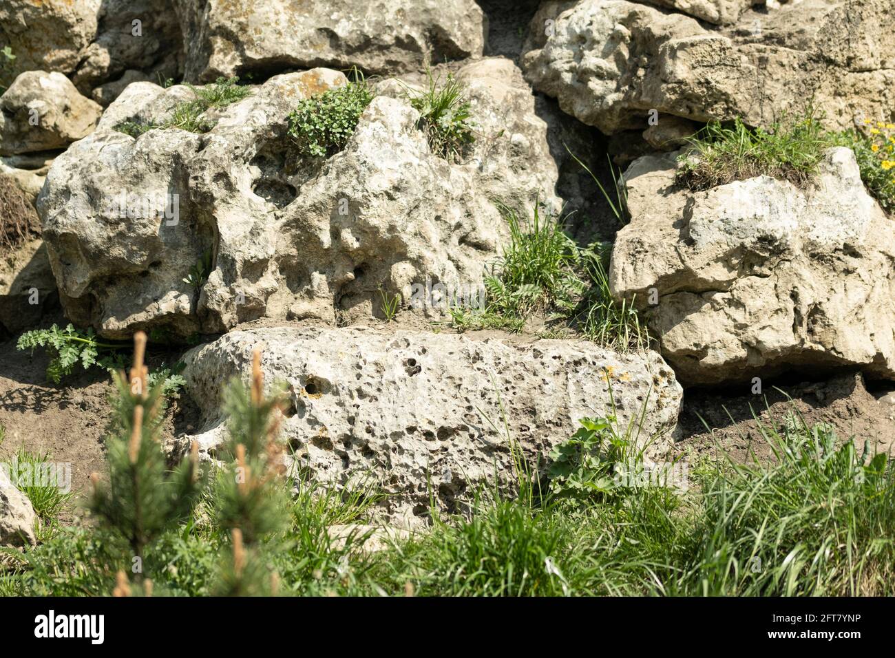 Natural texture with stones, earth and grass. Stock Photo