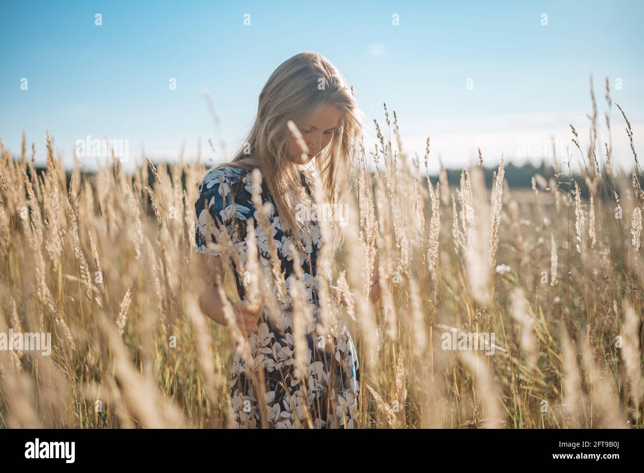 Beauty Romantic Girl Outdoors. Beautiful Teenage Model girl Dressed in Casual Dress on the Field in Sun Light. Glow Sun, Sunshine Stock Photo