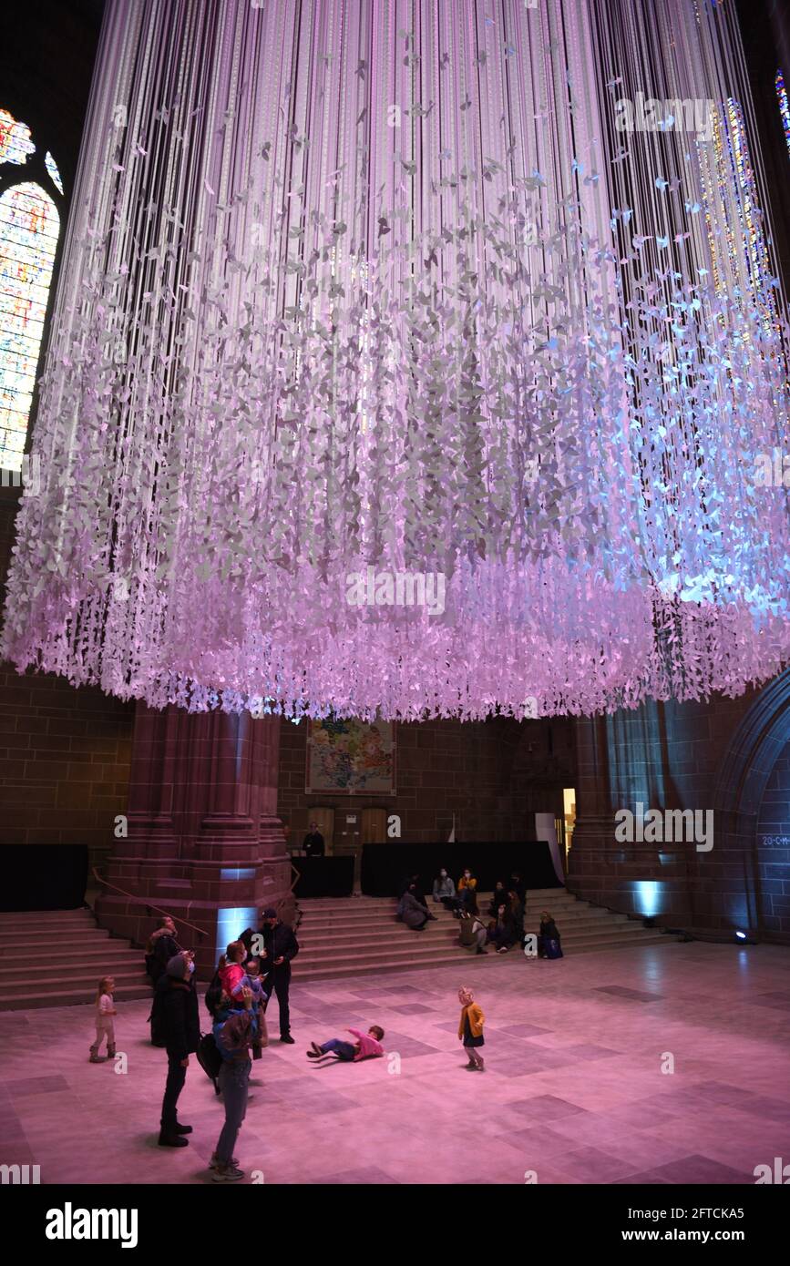 Art installation Peace Doves at the Anglican Cathedral, Liverpool. On display at from 21 May until 31 August 2021 it is a large scale piece by interna Stock Photo